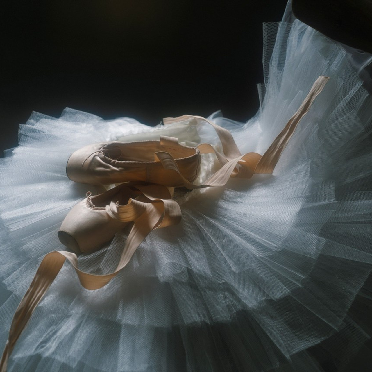 Отзывы. Виктория Беник