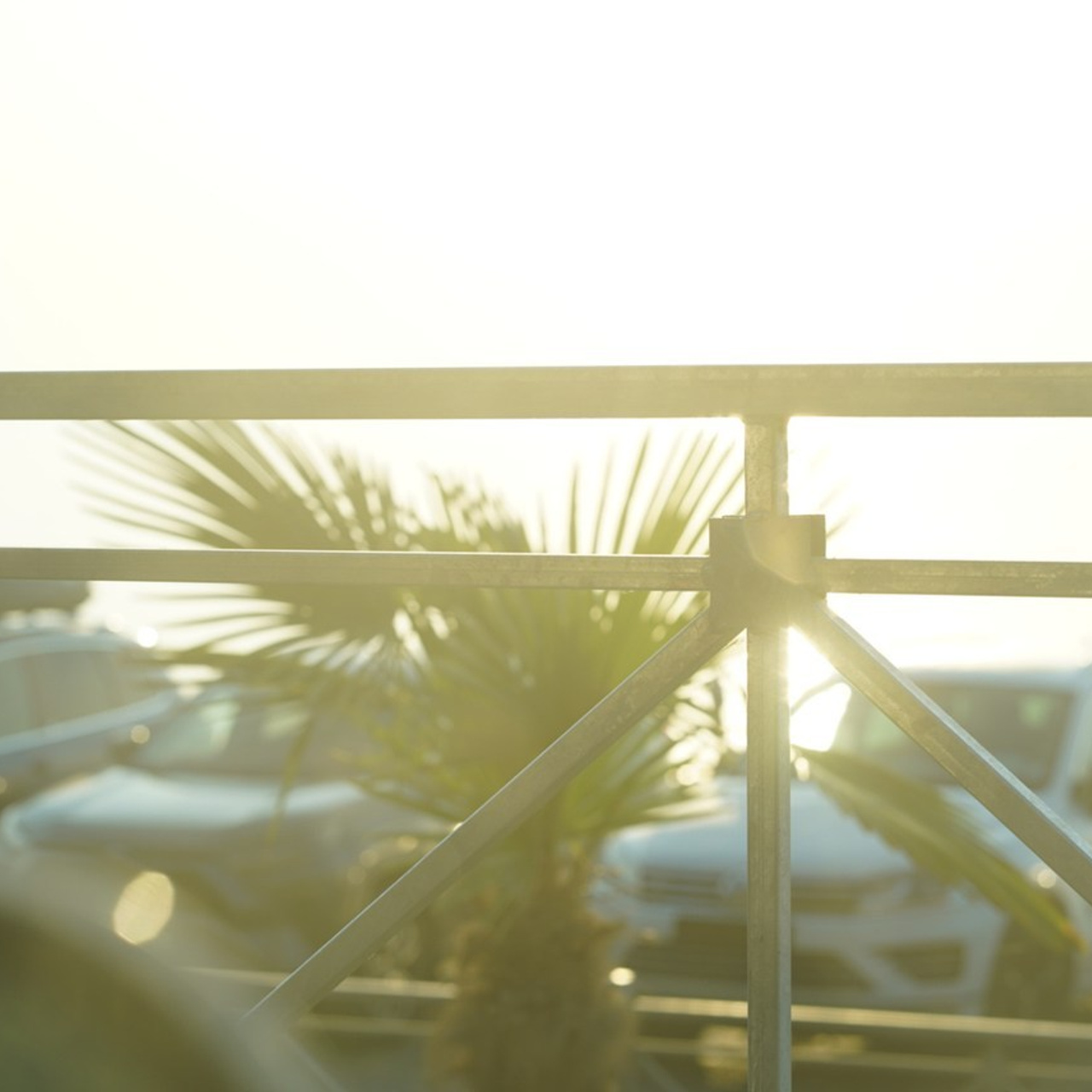 Отзывы. Виктория Беник