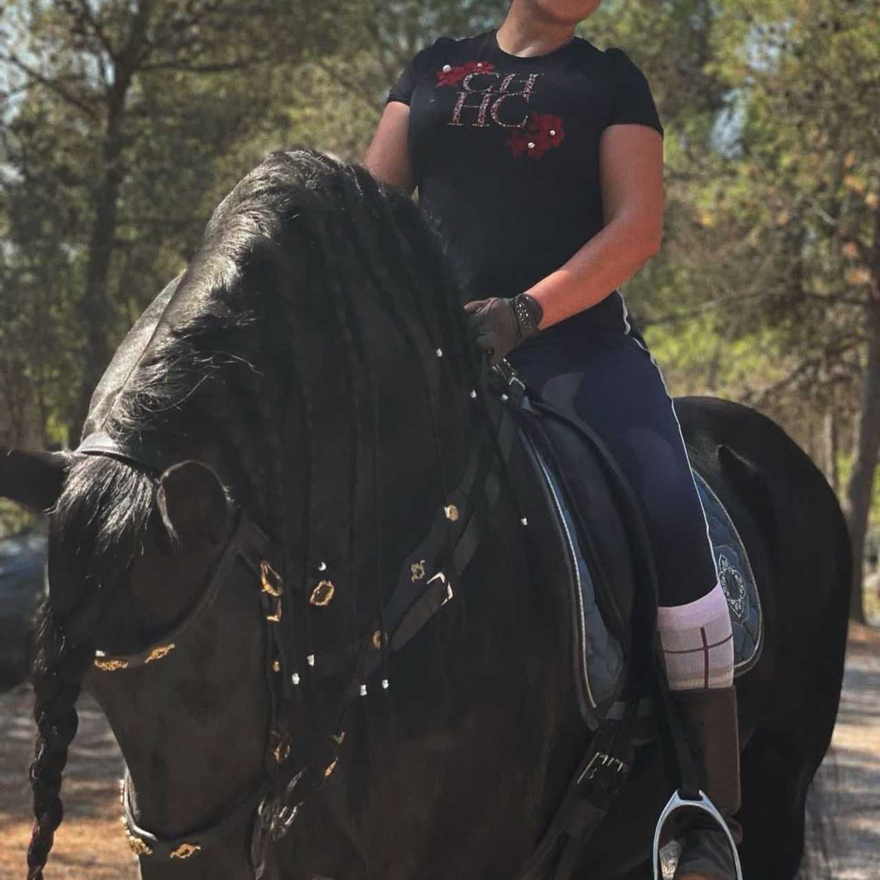 Отзывы. Friesian Alliance. Фризы Росиии