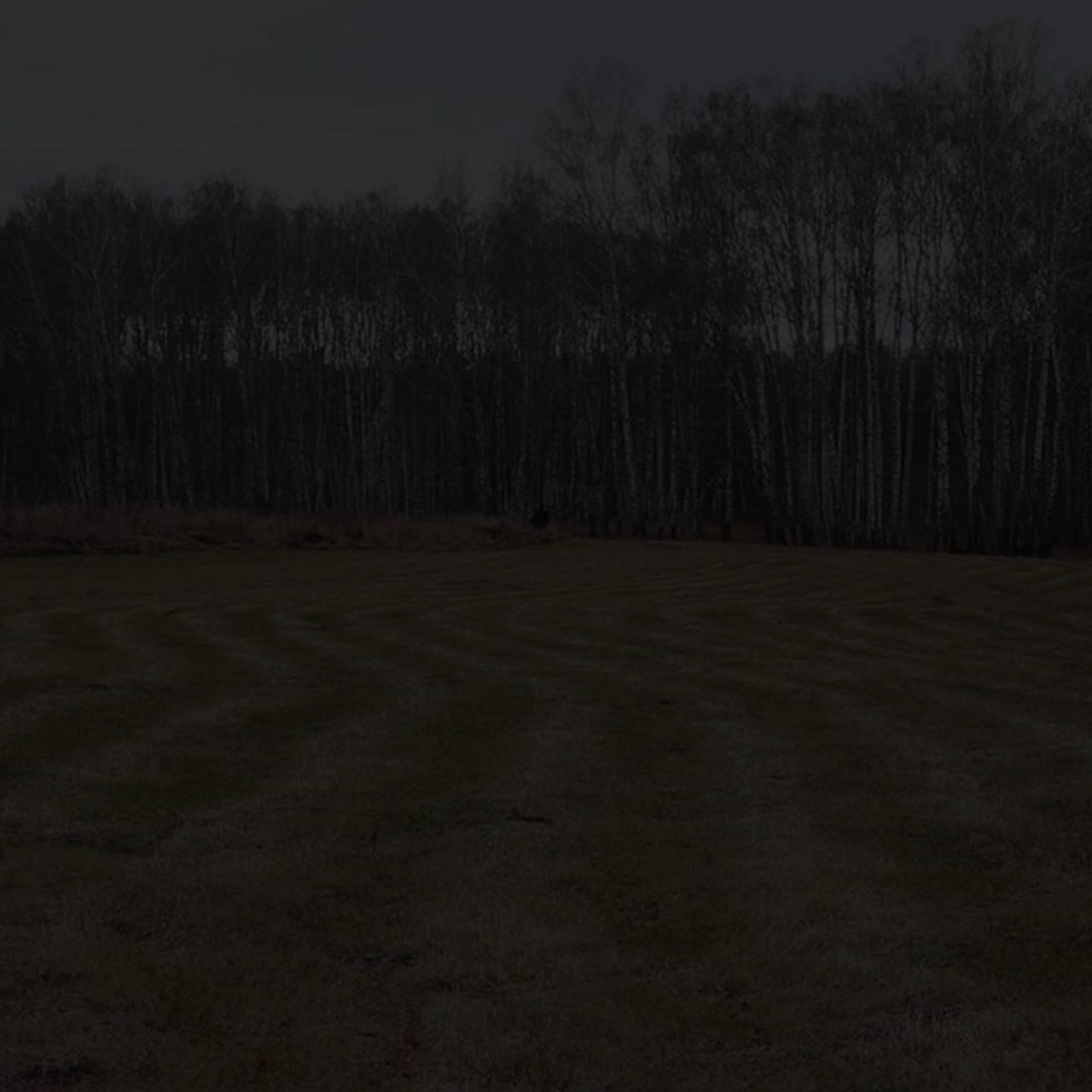 Отзывы. Фотохудожник Светлана Финадеева. Челябинск