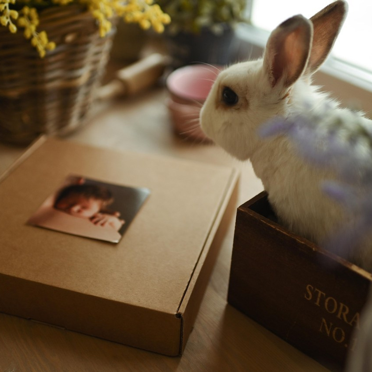 Отзывы. Фотограф Казань