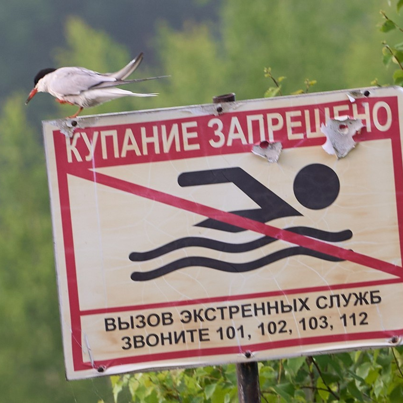 Отзывы. Портретный и репортажный фотограф в Тюмени | Соколов Дмитрий