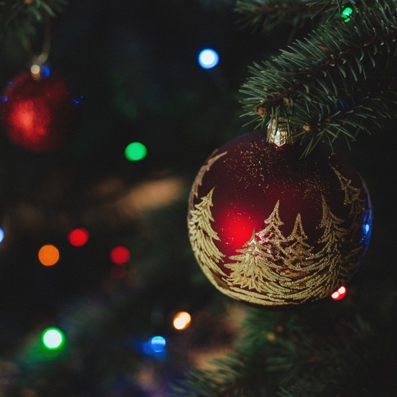 Отзывы. Фотограф, видеограф