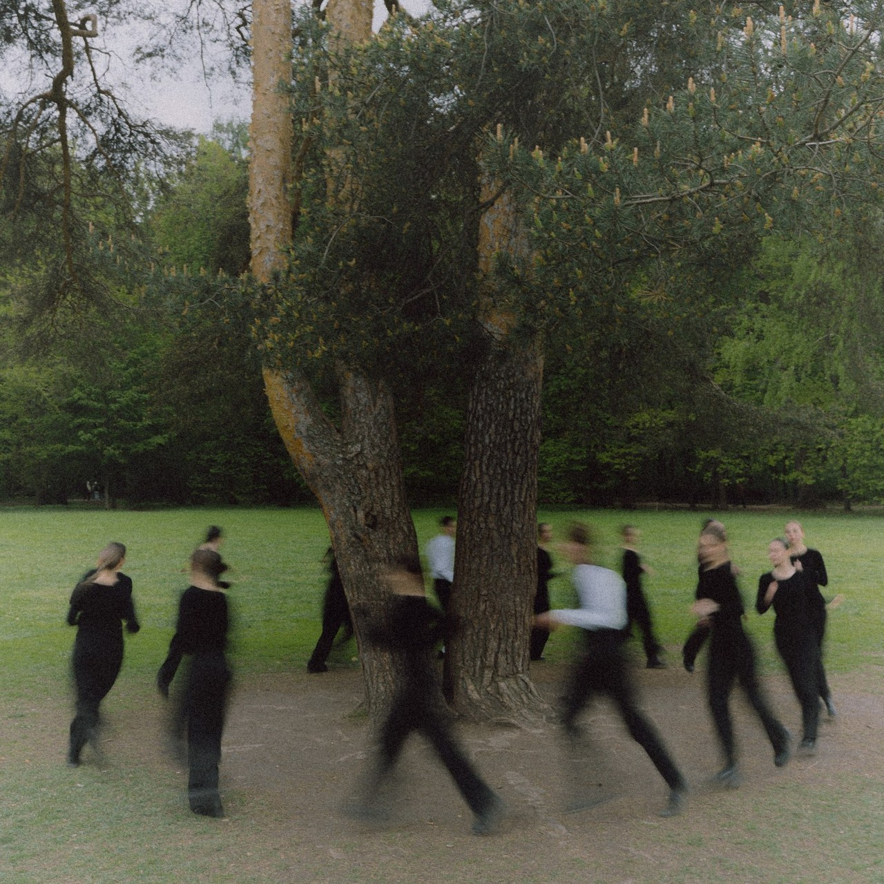 Отзывы. Фотограф Анна Кулинская | Москва