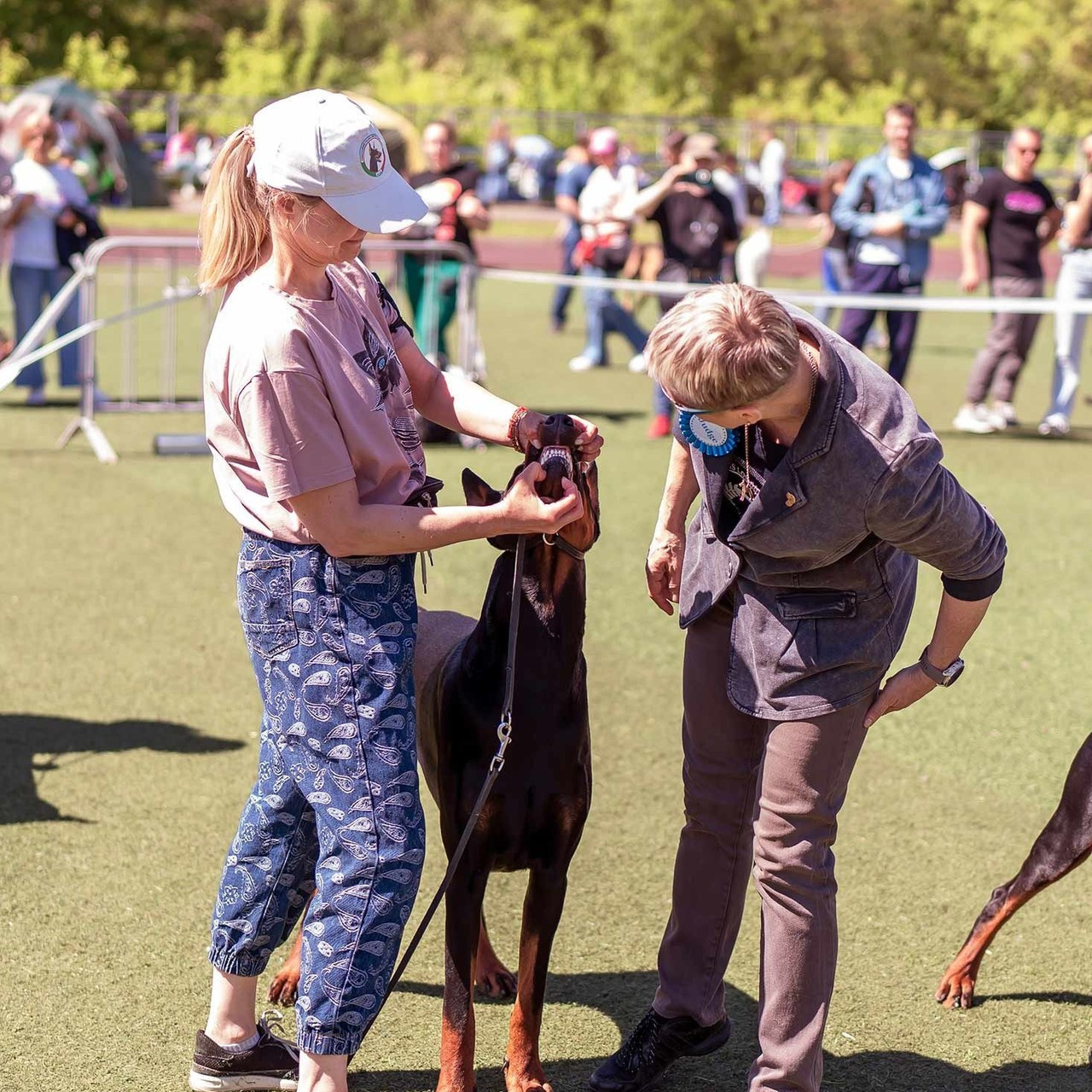 Отзывы. Фотограф анималист Ольга Луканенкова в Москве