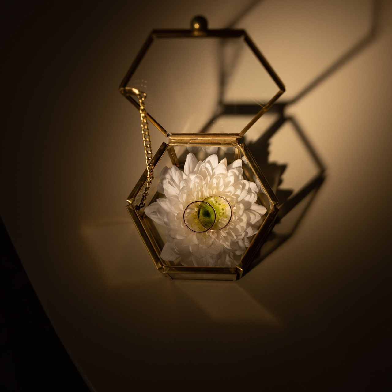 Отзывы. Свадебный фотограф Анастасия Бударина