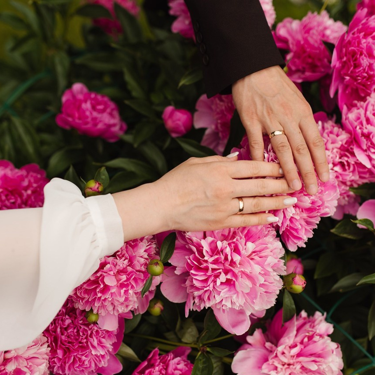 Отзывы. Свадебный фотограф Анастасия Бударина