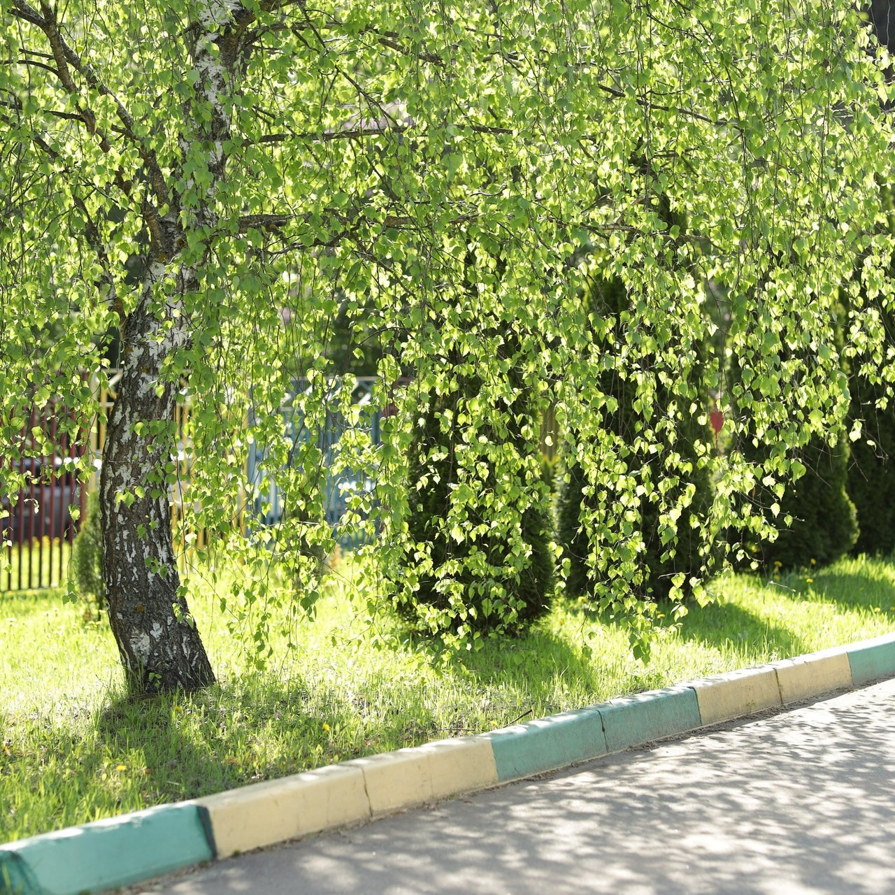 Отзывы. Бочарова Мария — школьный фотограф Апрелевка, Новая Москва, Московская область