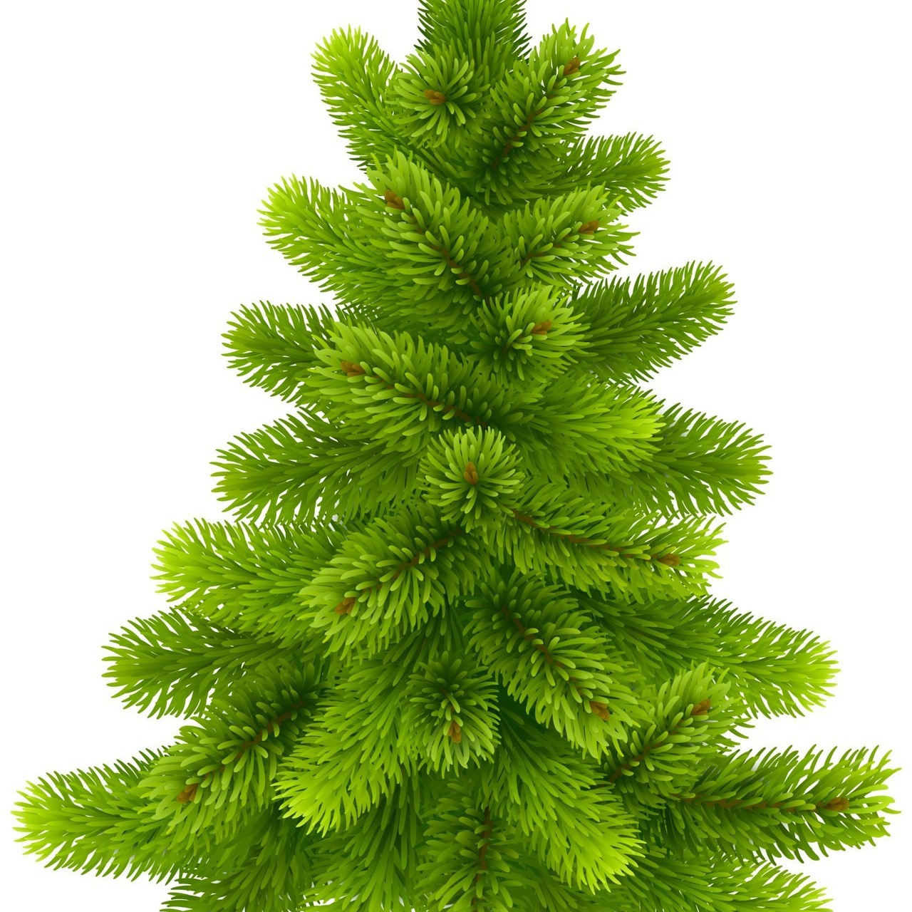 Отзывы. Бочарова Мария — школьный фотограф Апрелевка, Новая Москва, Московская область