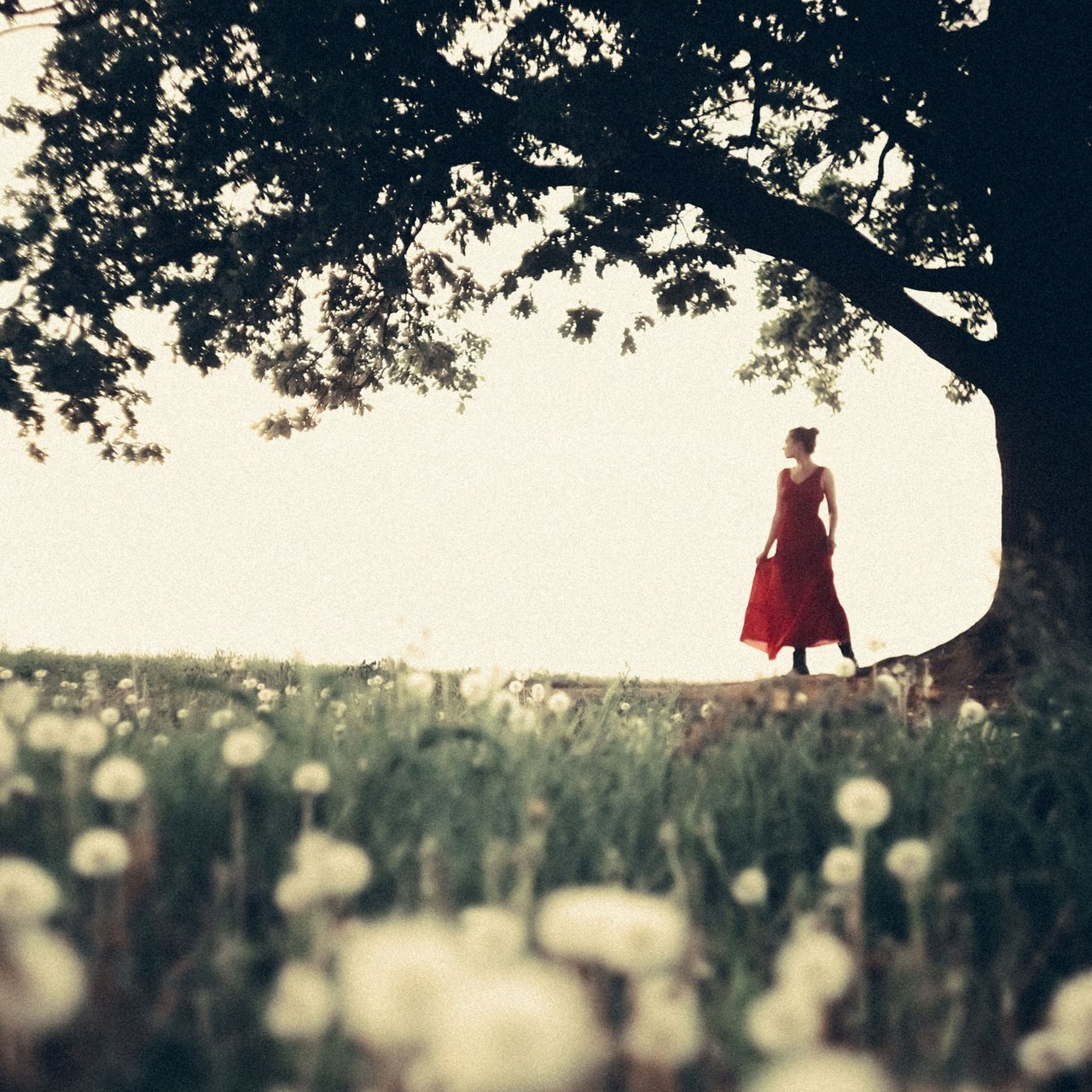 Отзывы. Фотограф в Санкт-Петербурге Катрин Парадиз