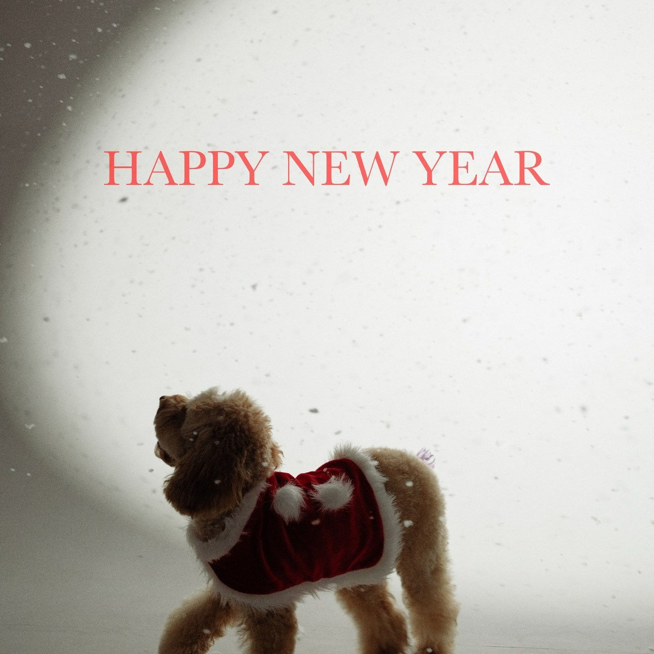 Отзывы. Фотограф Юрий Марилов Москва, Тюмень