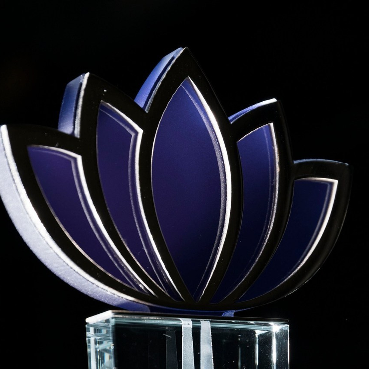 Отзывы. Фотограф в Москве и Московской области