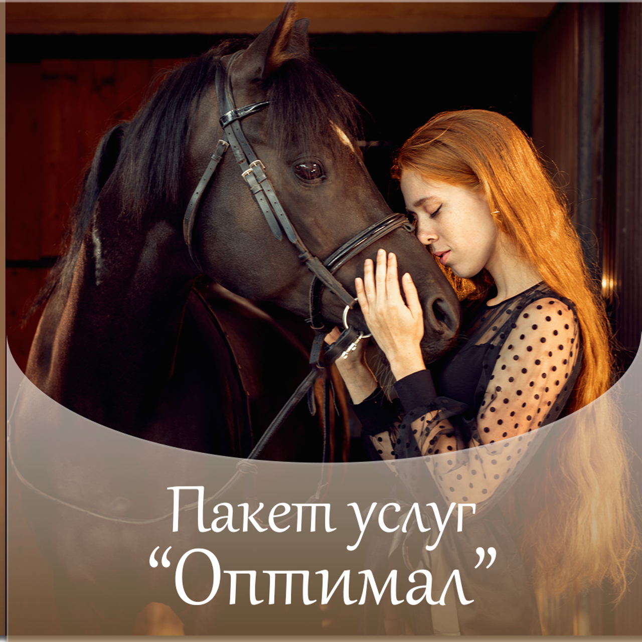 Пакет услуг «Оптимал»