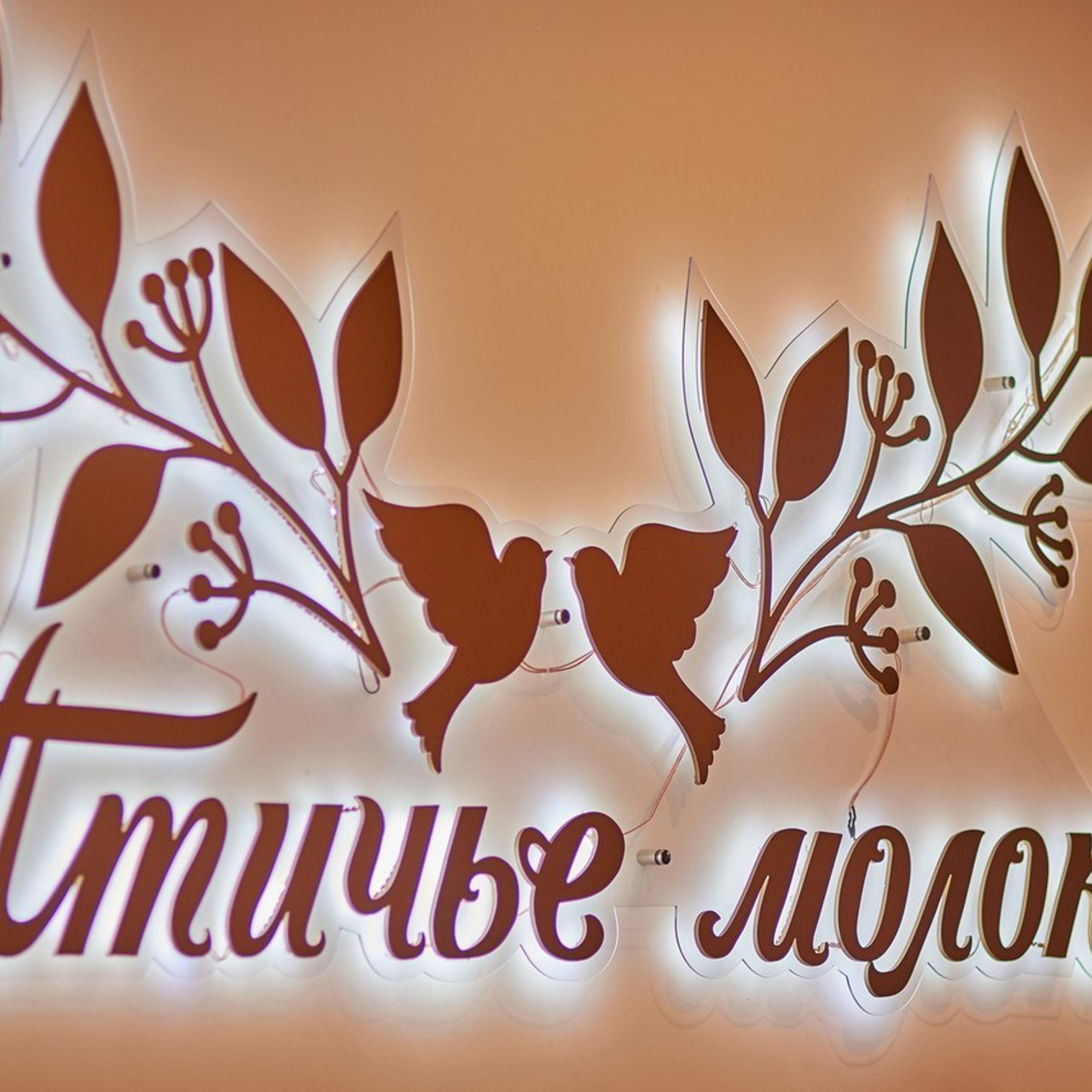 Отзывы. Семейный и детский фотограф в Нижнем Новгороде Елена Мамонова