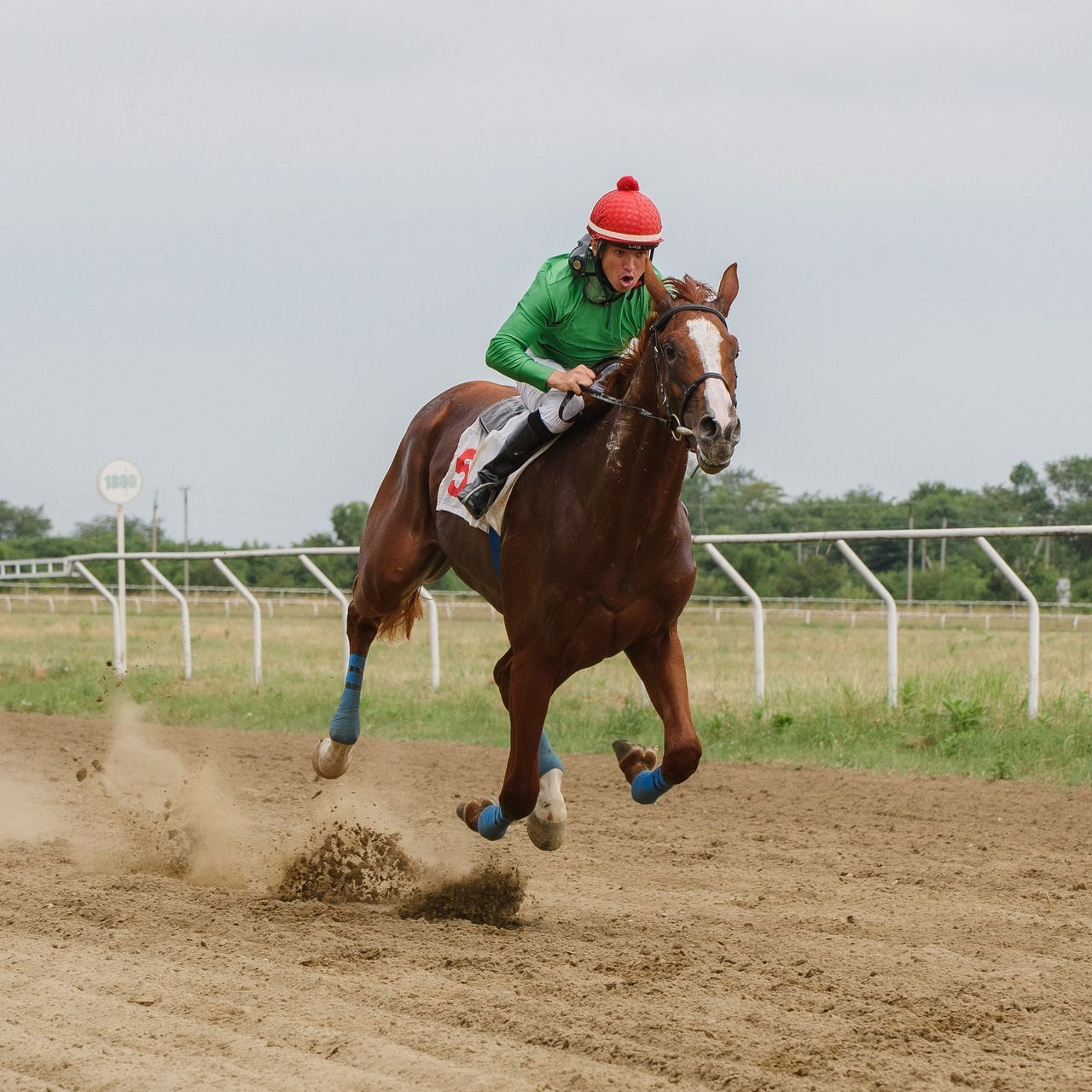 Отзывы. Фотостудия и фотограф в Майкопе — ProfessionalFoto