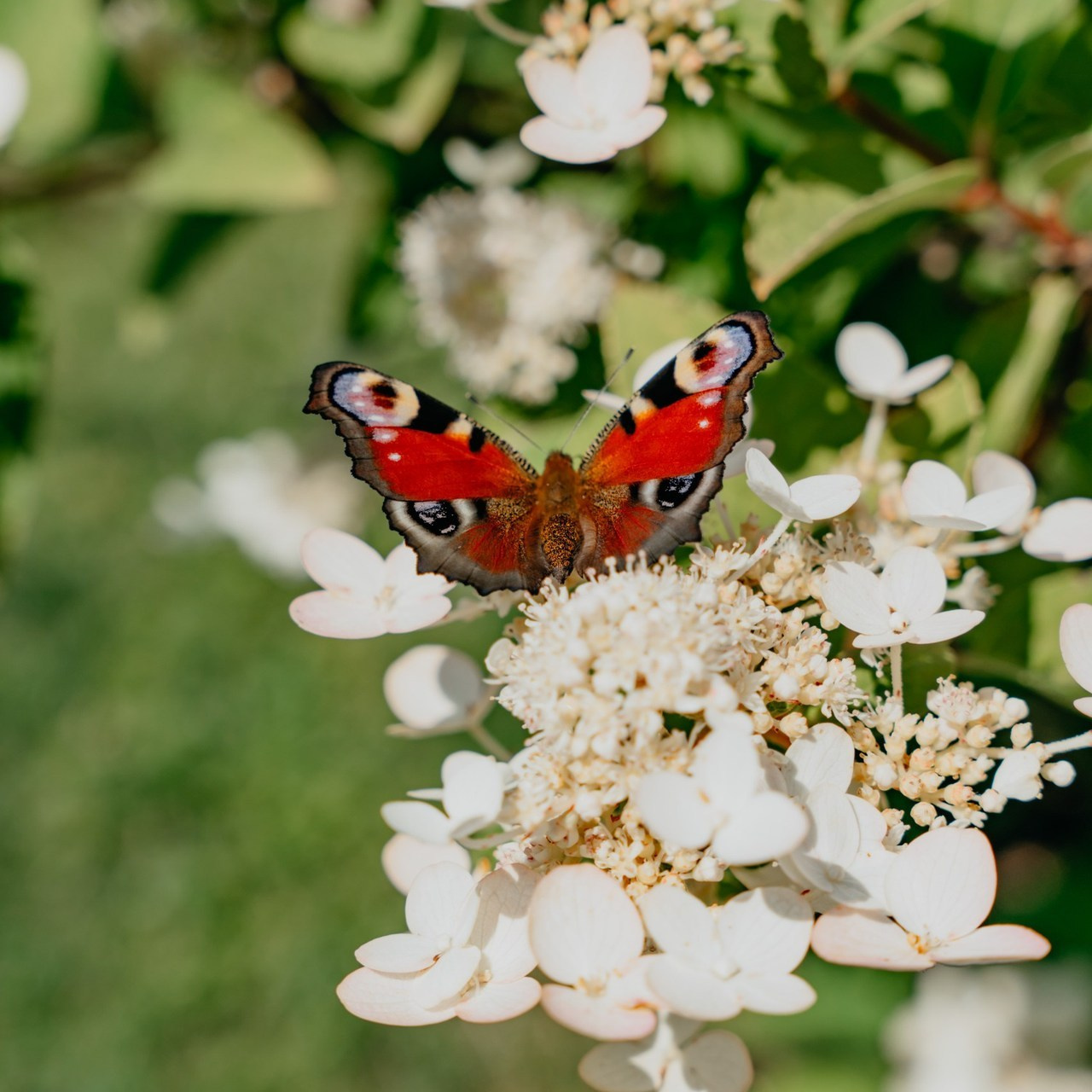 Отзывы фотограф Киров Евгения Шубина