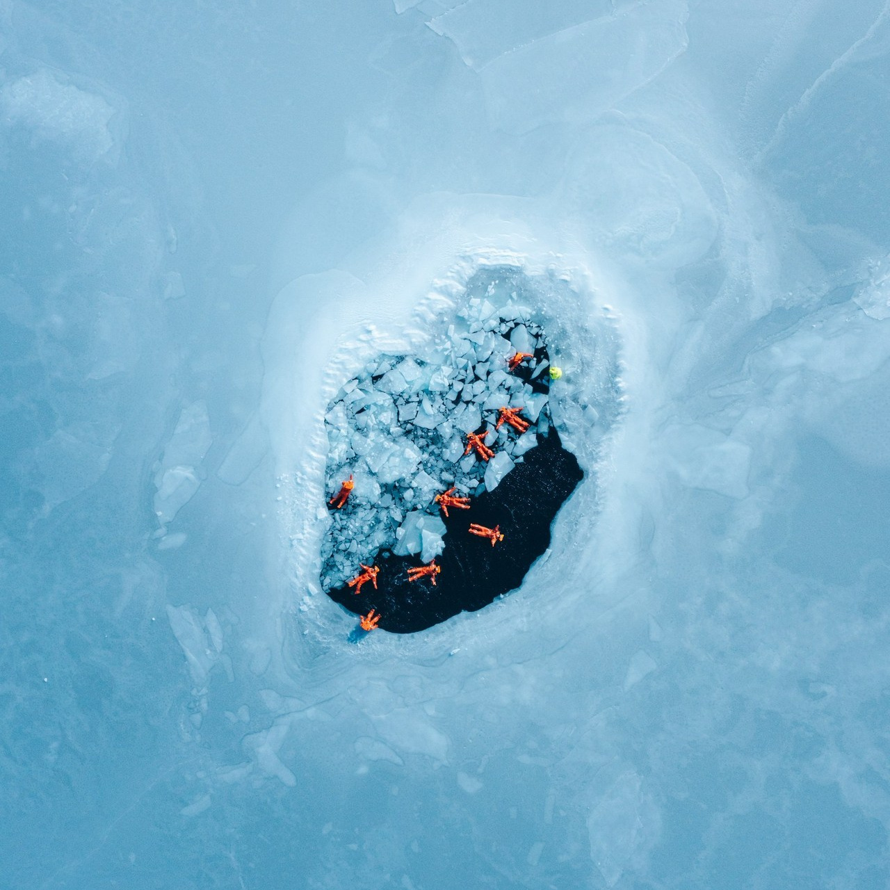 Отзывы. Фотограф во Владивостоке Ефремов Дмитрий