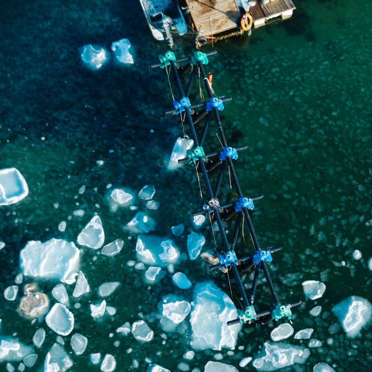 Отзывы. Фотограф во Владивостоке Ефремов Дмитрий