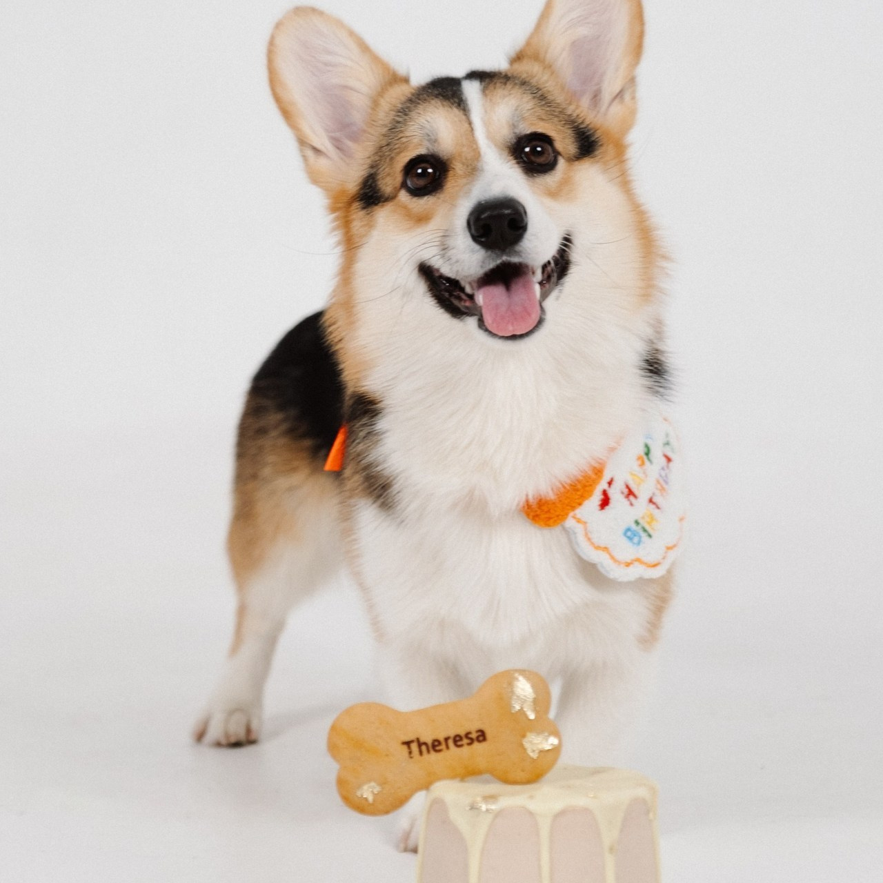 Отзывы. Анна Гусарова свадебный фотограф в Волгограде