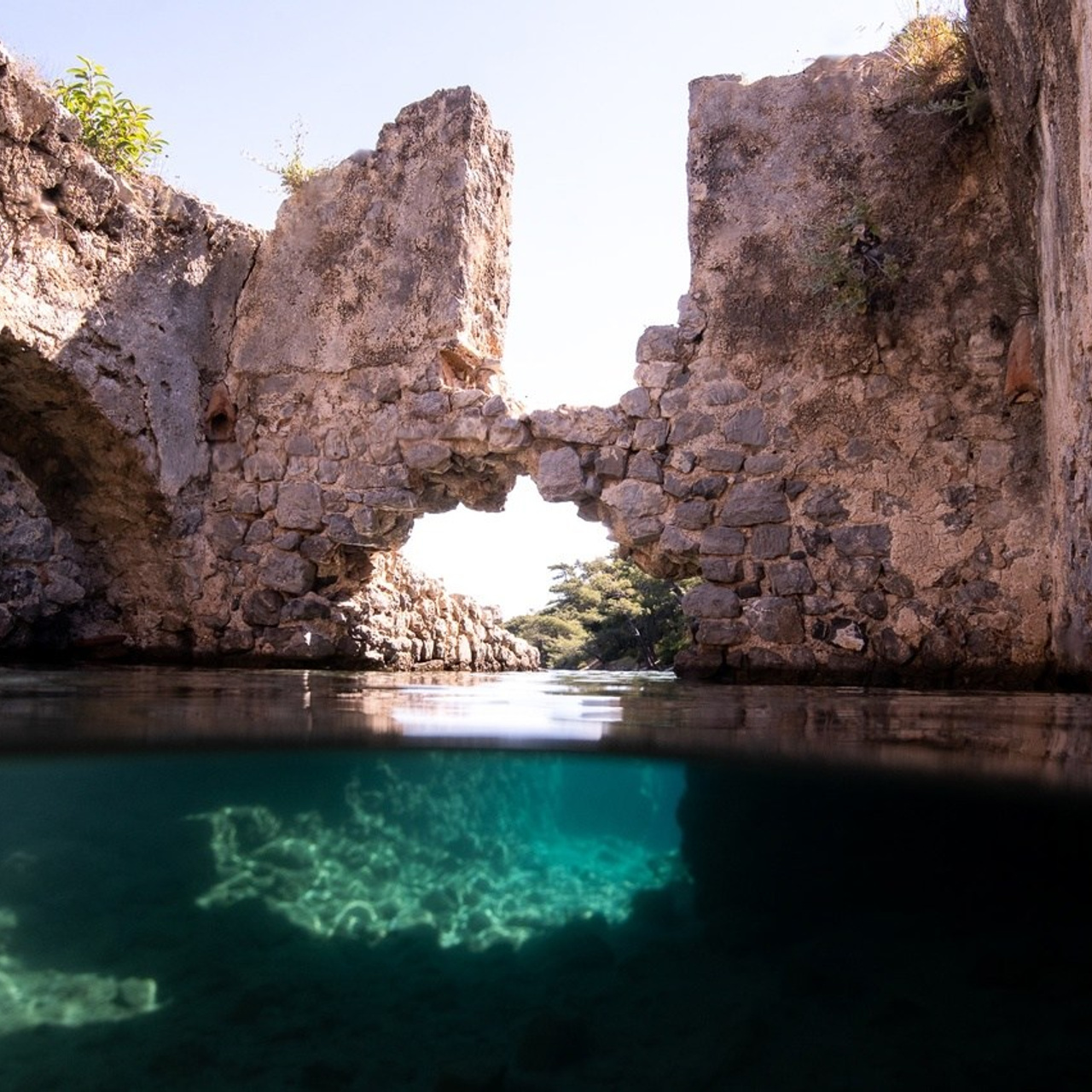 яхтинг осень 2024