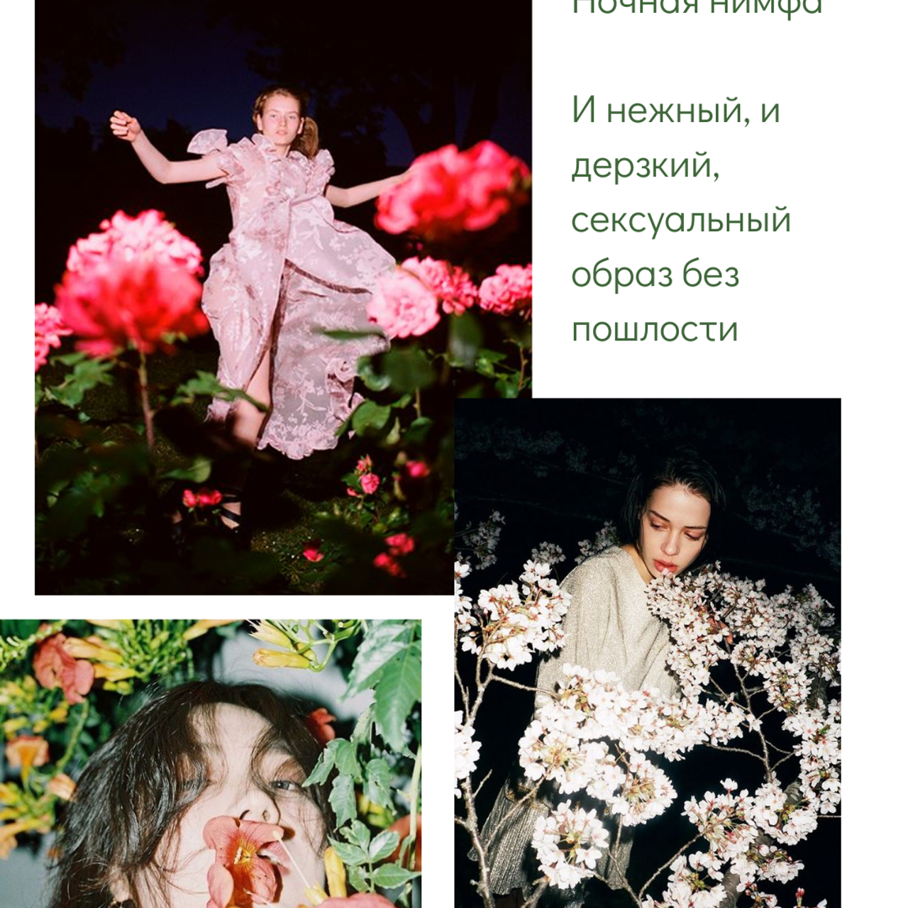 Photoshoot ideas. Alyona Pukhanova — photographer, stylist, 3d designer, artist — Tbilisi, Georgia