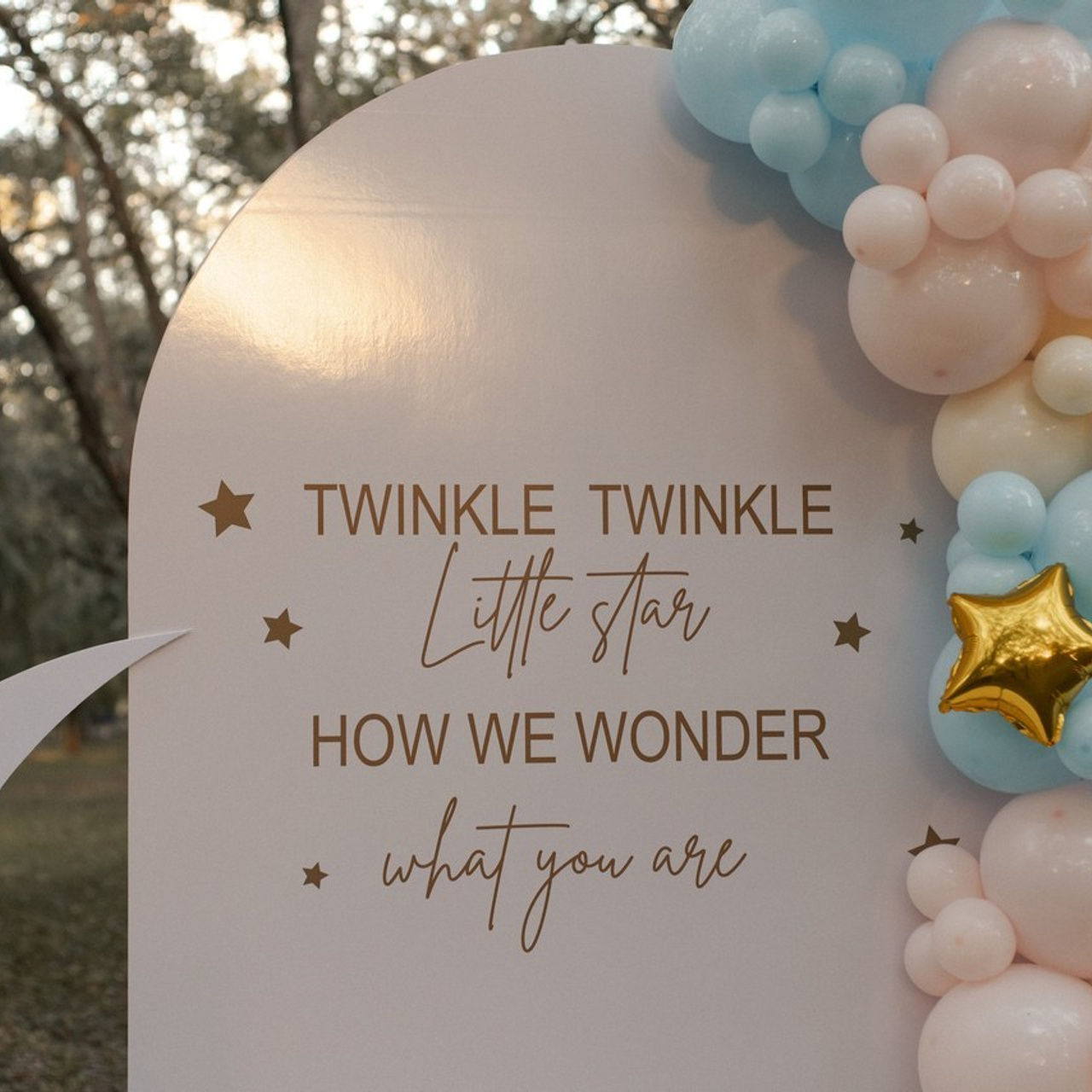 Testimonials. Polina Vilkova