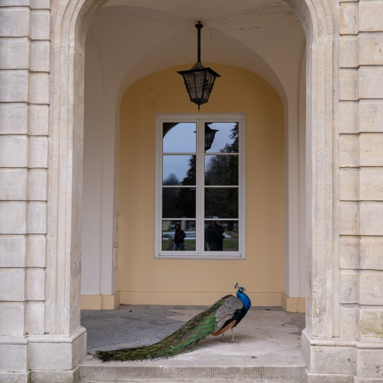 Testimonials. Portrait photographer in Minsk Slava Potalakh