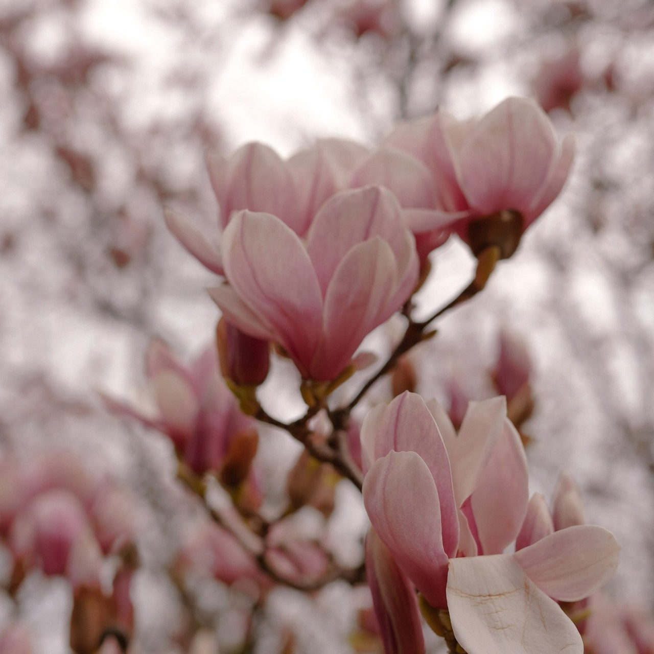 Отзывы о фотографе Милана Довгаль. Милана Довгаль - семейный фотограф и видеограф  в Адлере и Сочи