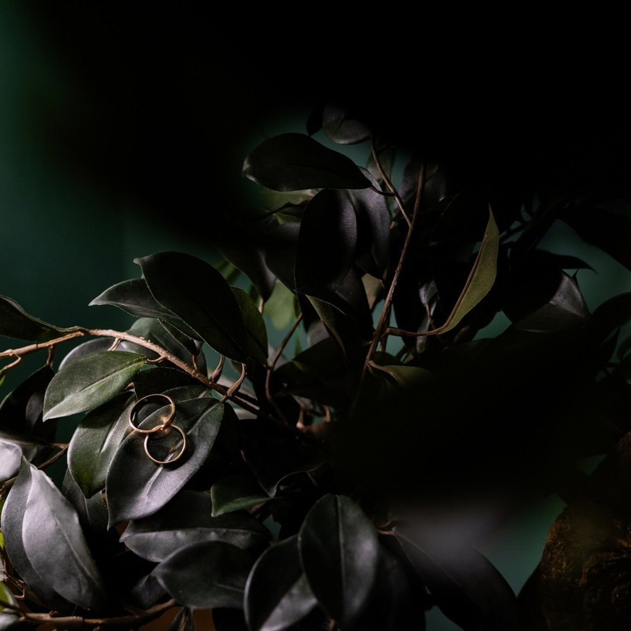 Отзывы. Свадебный фотограф Верещак Сергей I Ростов-на-Дону