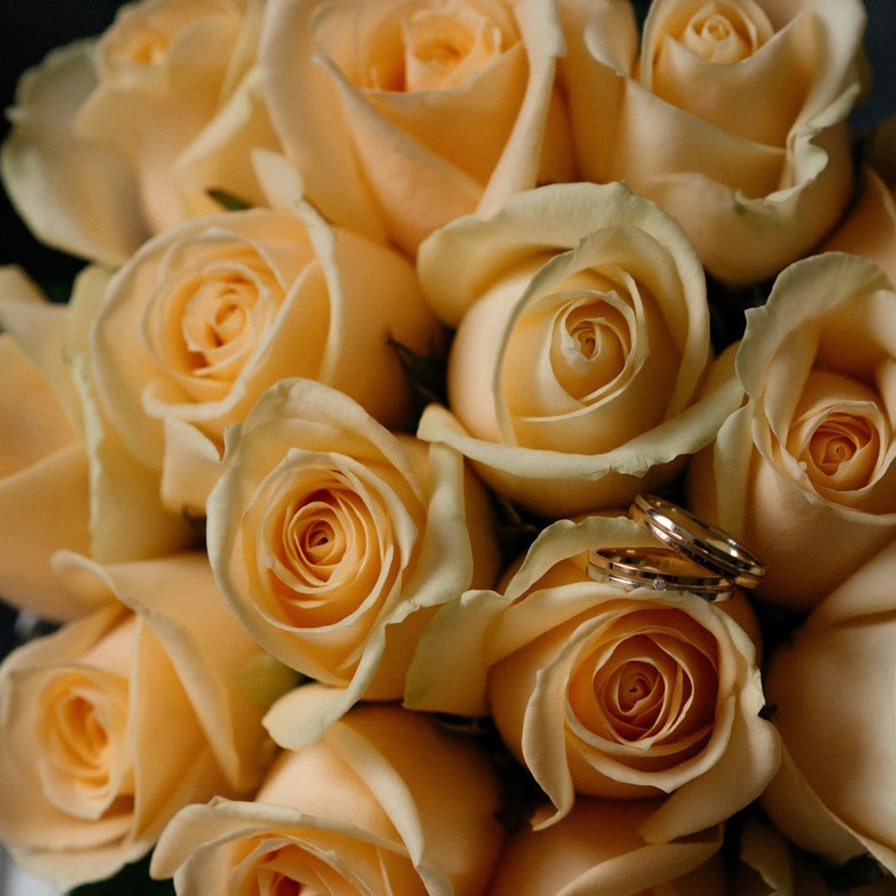 Отзывы клиентов. Свадебная фото и видеосъемка в Гомеле