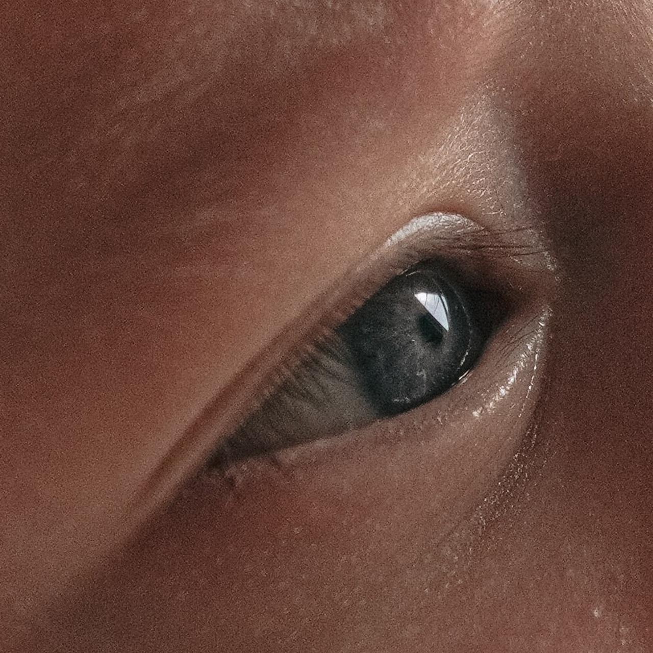 Отзывы. Свадебный и семейный фотограф Афанасьева Анна в Кисловодске