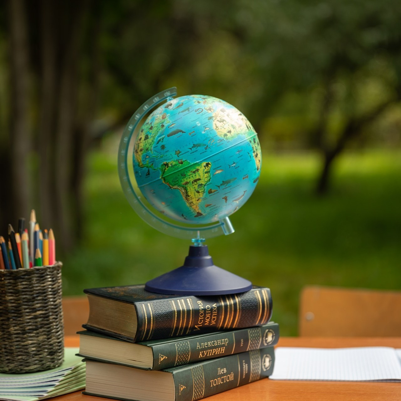 Отзывы. Фотограф Заринск. Комиссарова Кристина