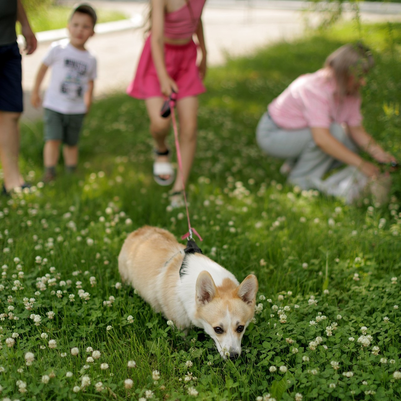 Отзывы. Фотограф Заринск. Комиссарова Кристина