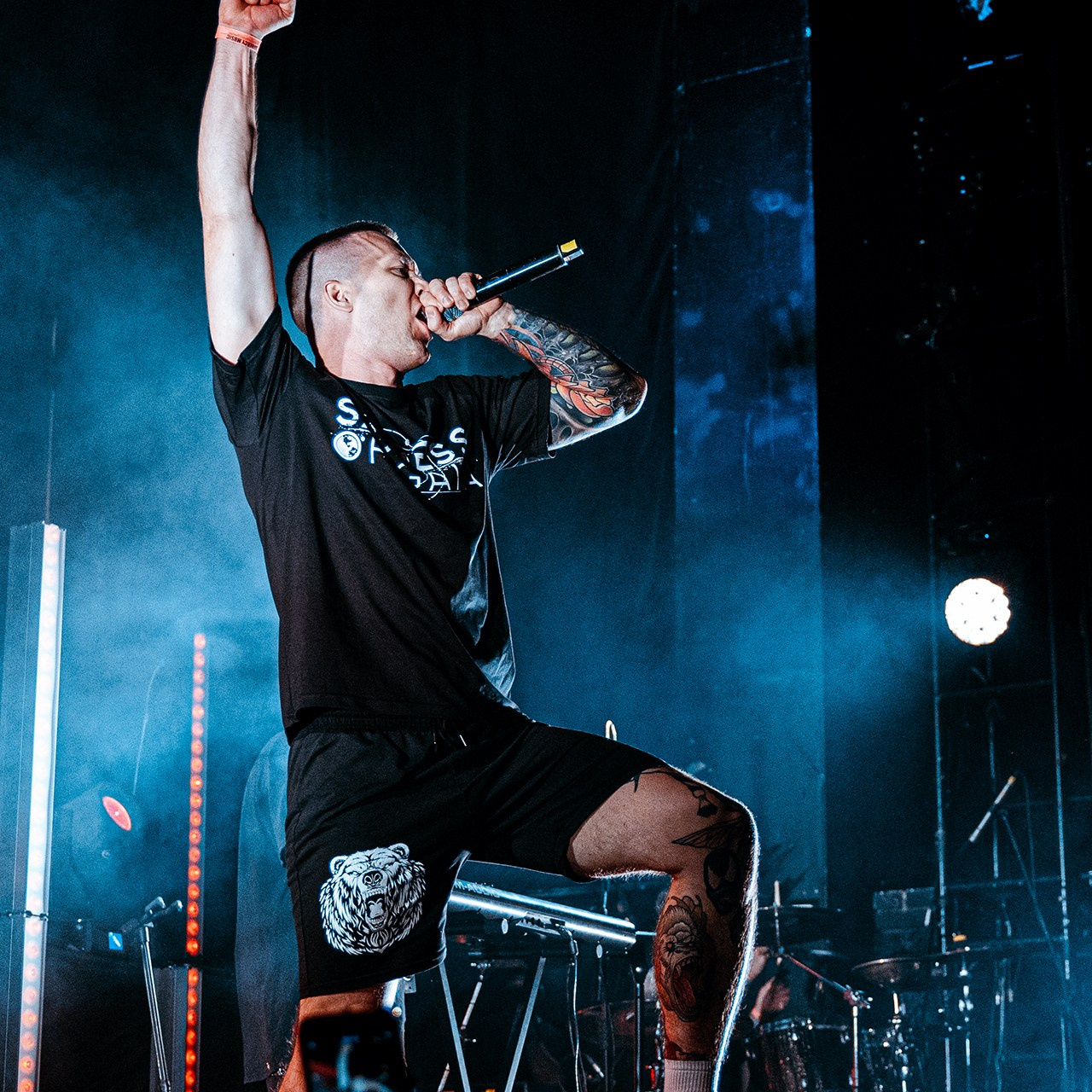 SADNESS OF GAIA (15.11.25 | Москва | BASE). Концертный фотограф | Рукавцова Валентина