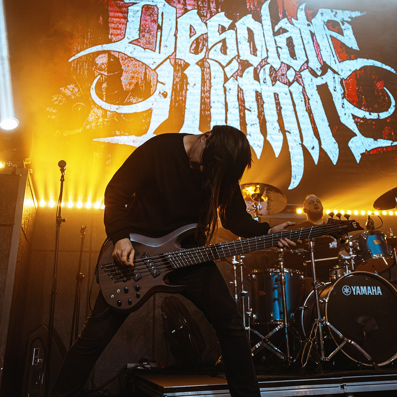 Desolate Within (24.01.26 | Москва | Свобода). Концертный фотограф | Рукавцова Валентина