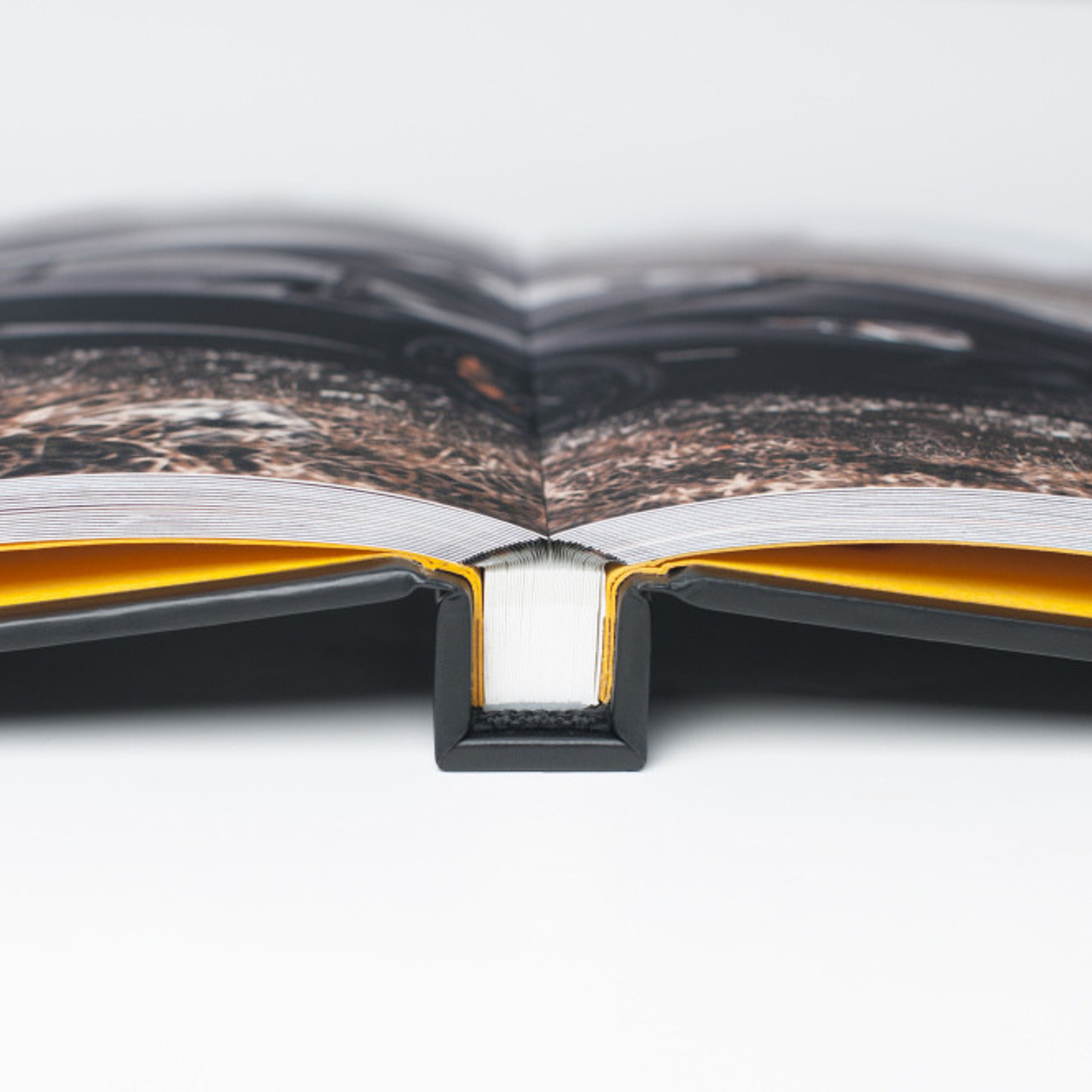 Альбомы по технологии Flexbind