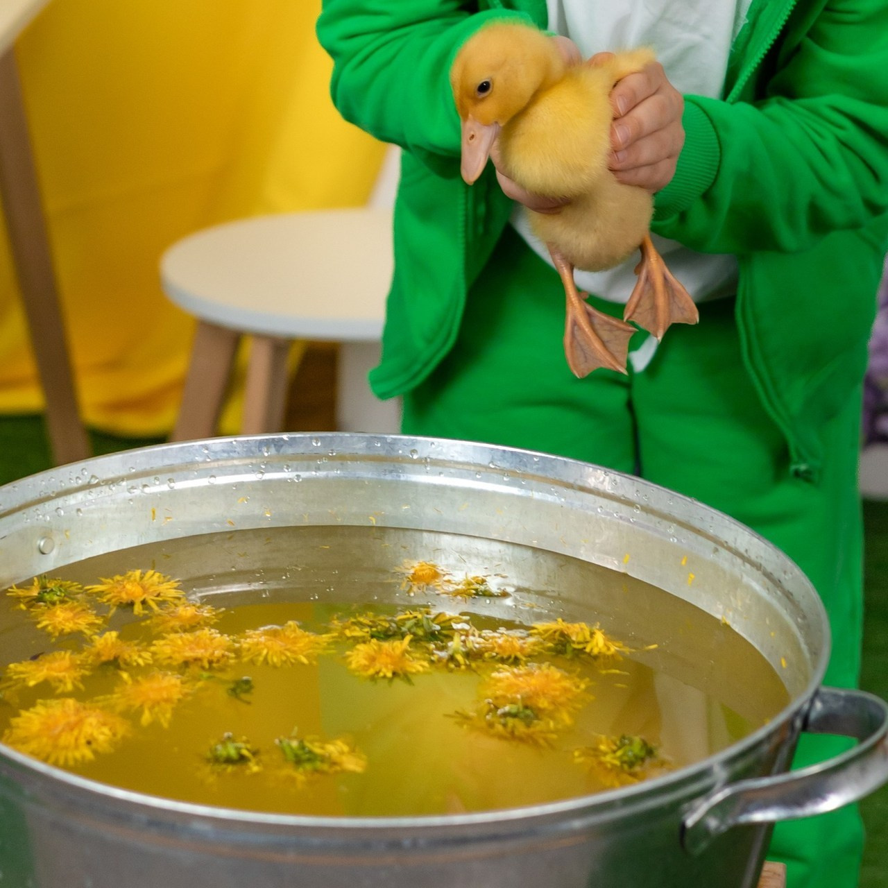 Отзывы. Фотограф в Калуге Светлана Нефедова