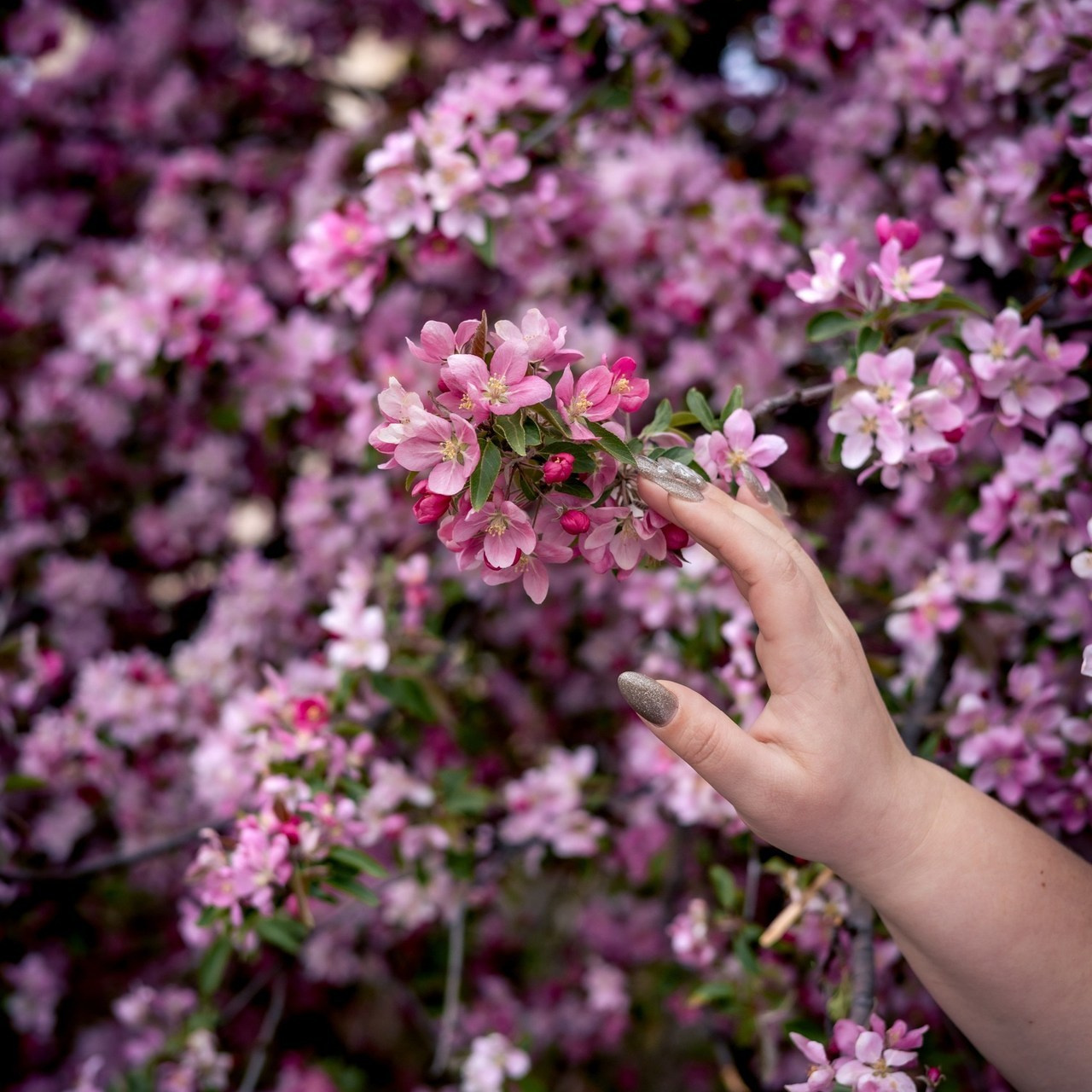 Отзывы. Фотограф в Калуге Светлана Нефедова