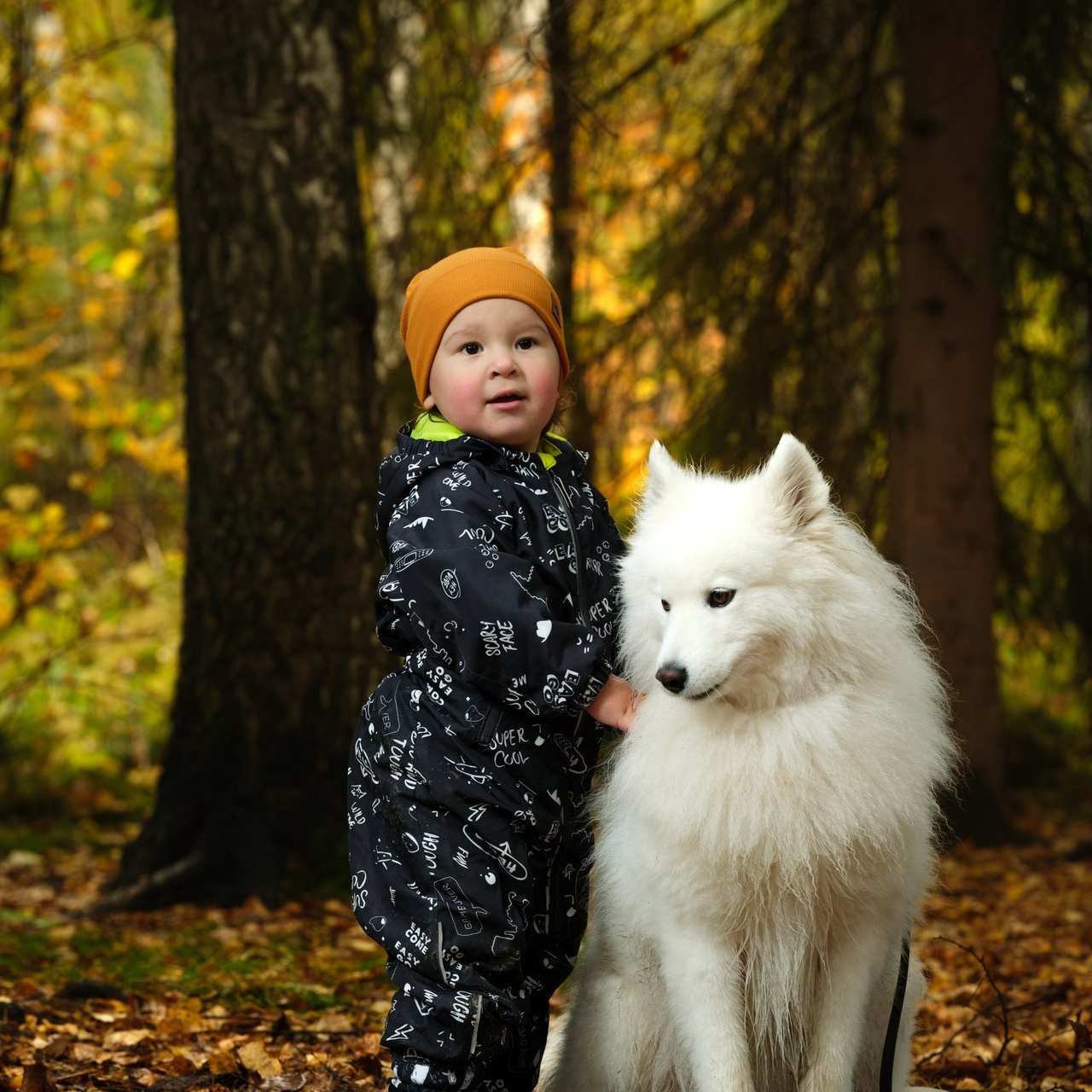Отзывы. Фотограф из Новосибирска Михаил Danko семейный фотограф