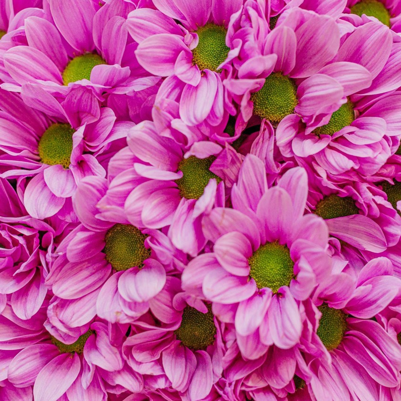 Отзывы. Фотограф Станислав Новиков