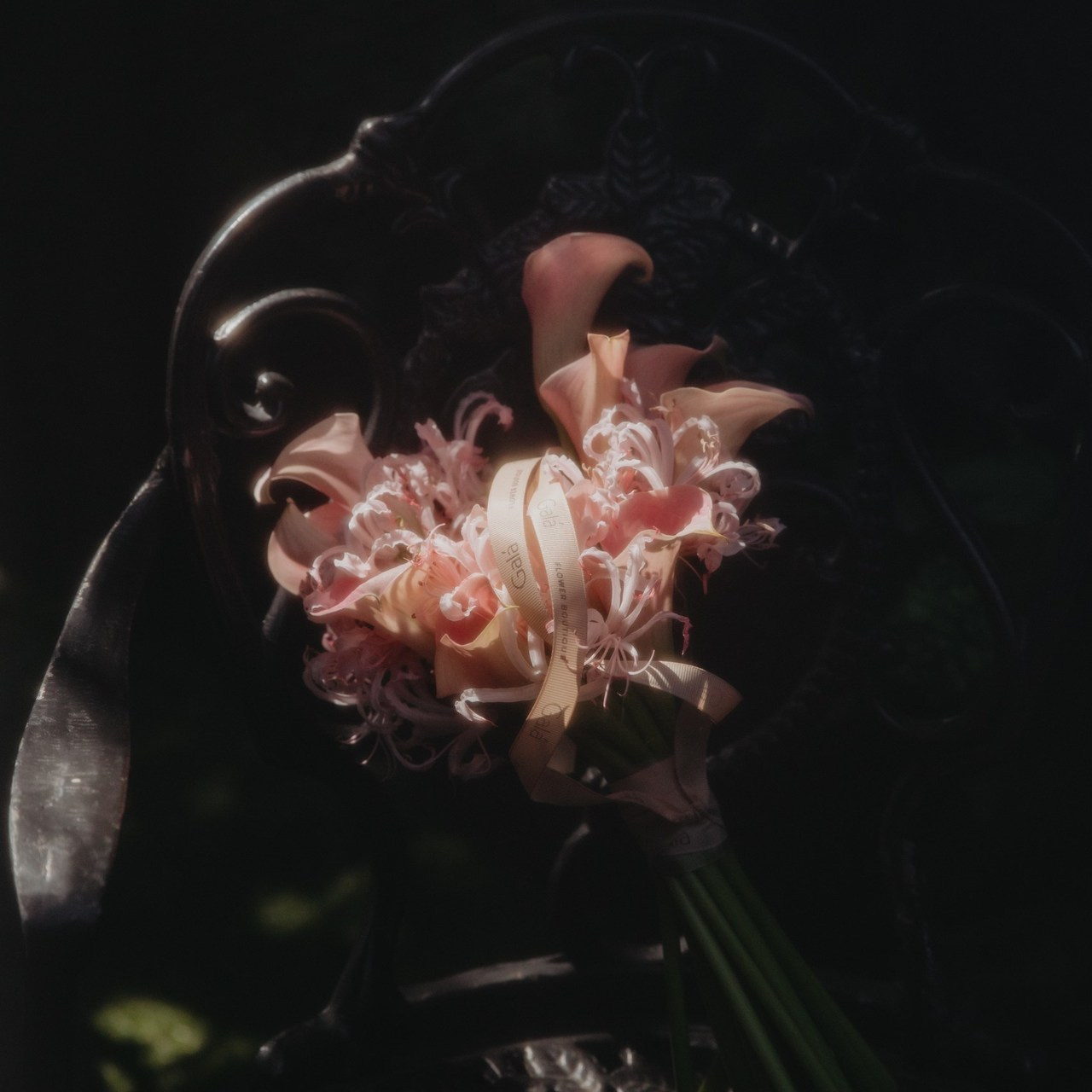 Отзывы. Истории