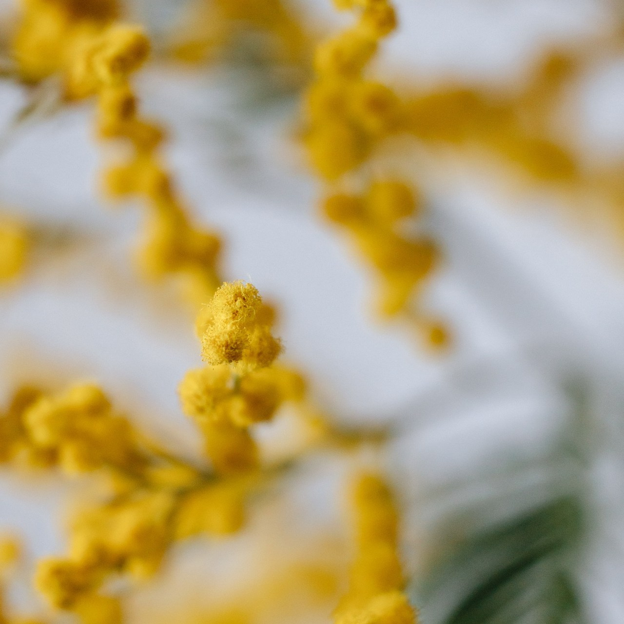 Отзывы. Семейный фотограф в Минске Сонила Ужва