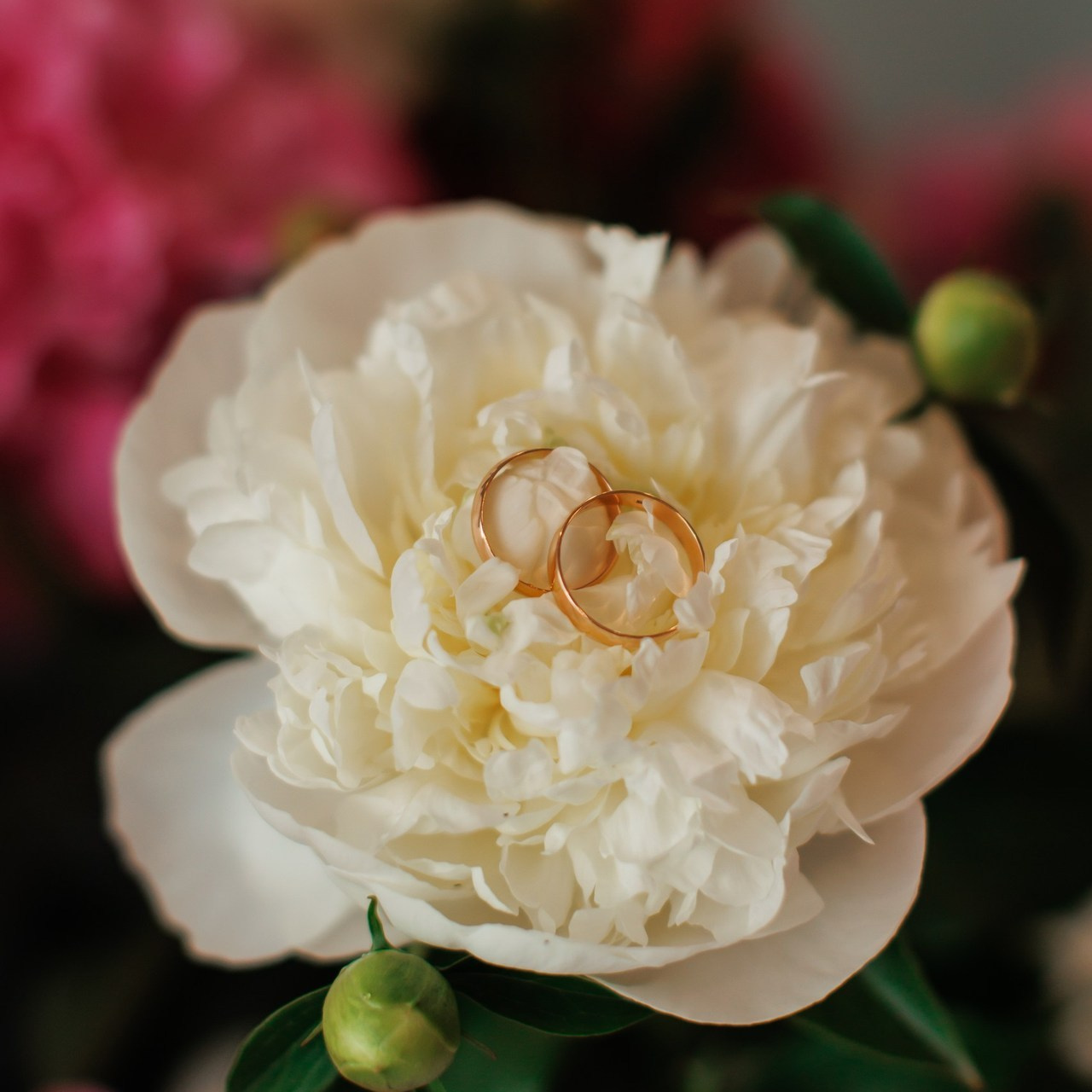 Отзывы. Семейный и детский фотограф в Калуге, Москве Наталья Фаустова