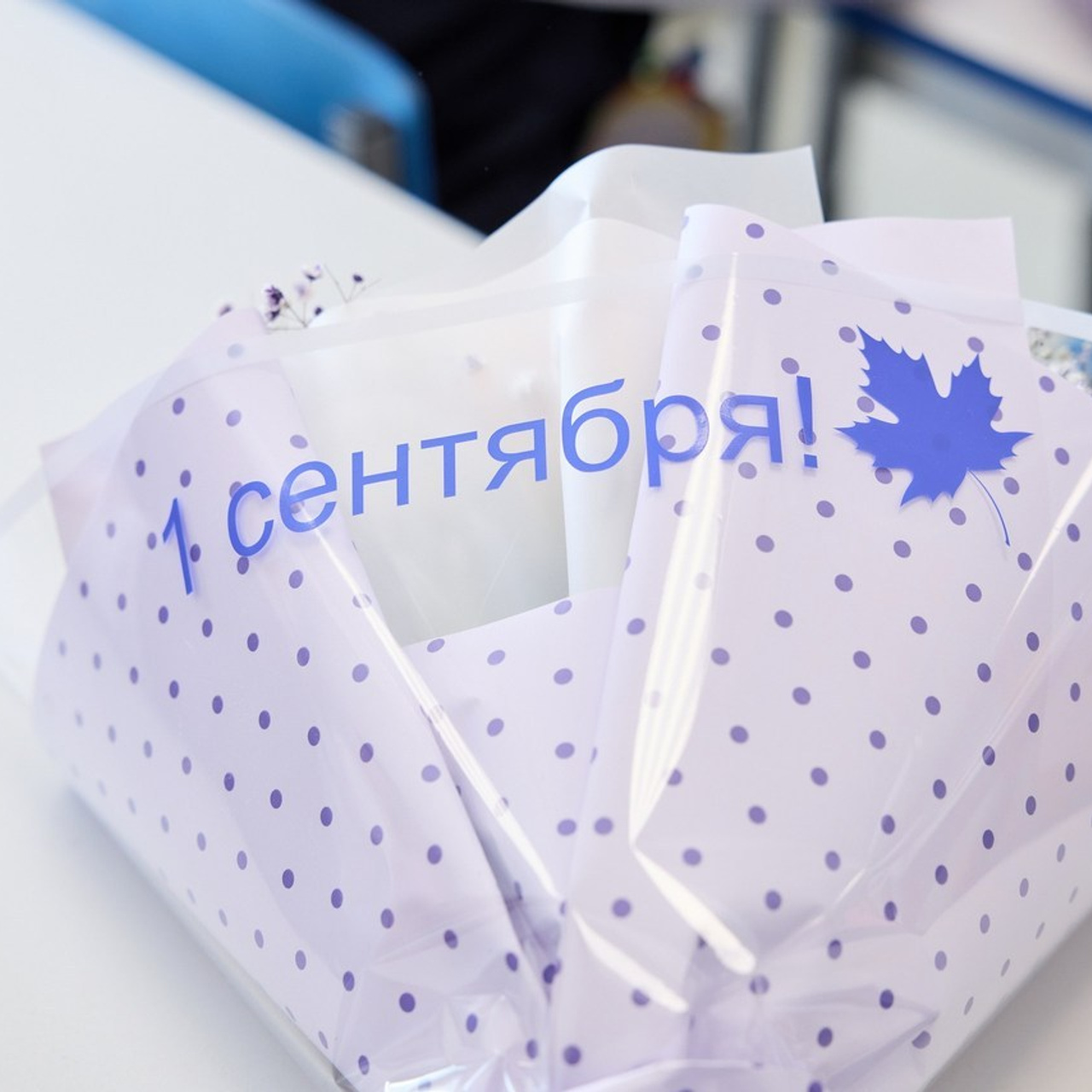 Отзывы о работе KitPhoto | Что говорят клиенты