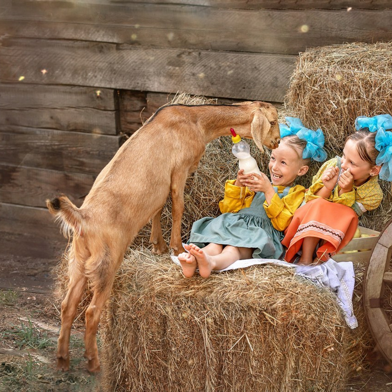 Отзывы. Семейный и детский фотограф в Канске и Канском р-не, Красноярск и