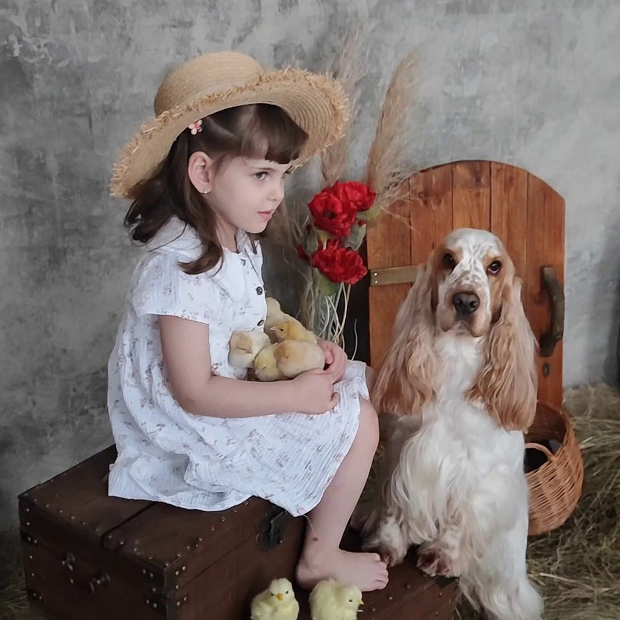 Отзывы. Семейный и детский фотограф в Канске и Канском р-не, Красноярск и