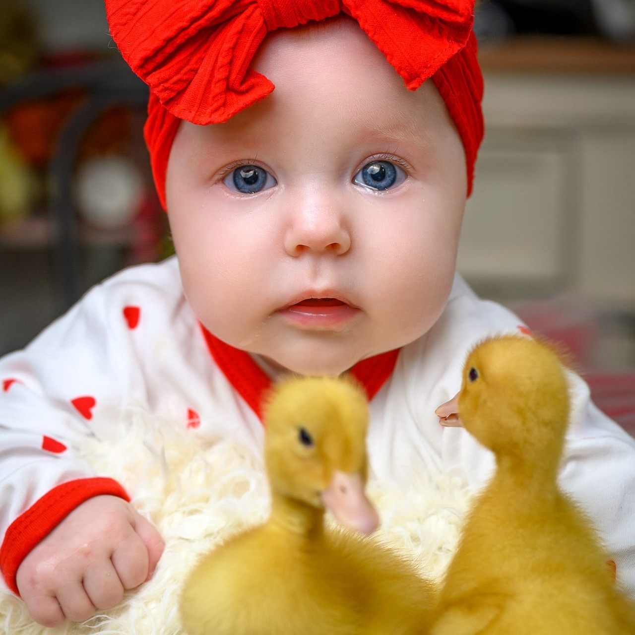 Отзывы. Семейный и детский фотограф в Канске и Канском р-не, Красноярск и