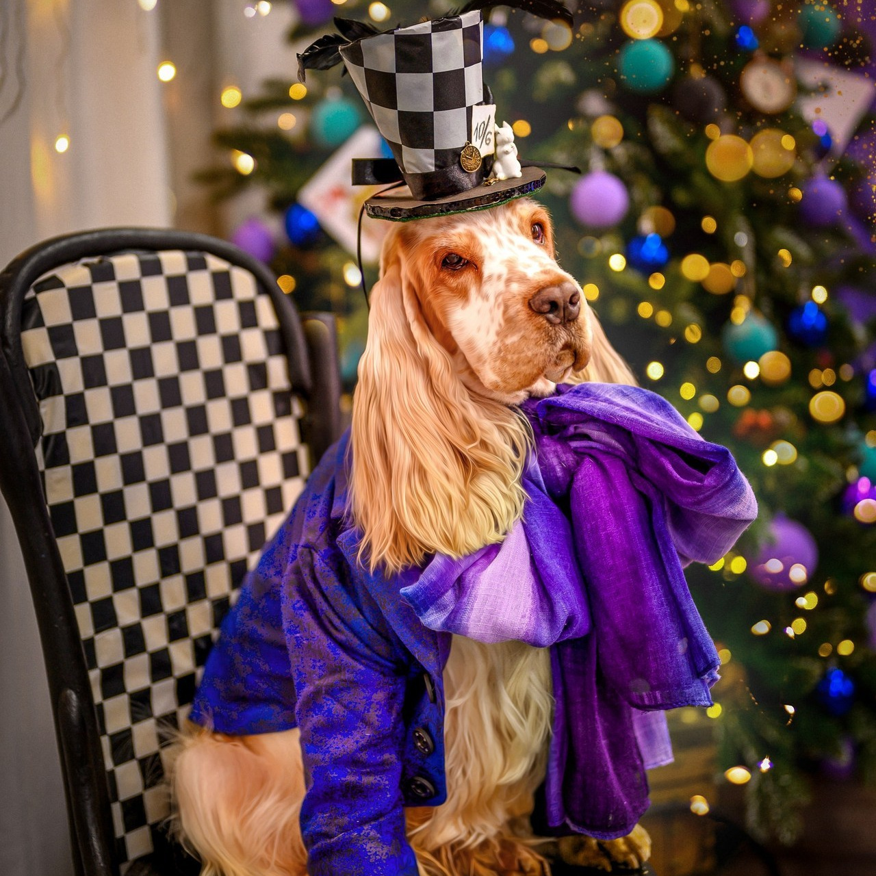 Отзывы. Семейный и детский фотограф в Канске и Канском р-не, Красноярск и