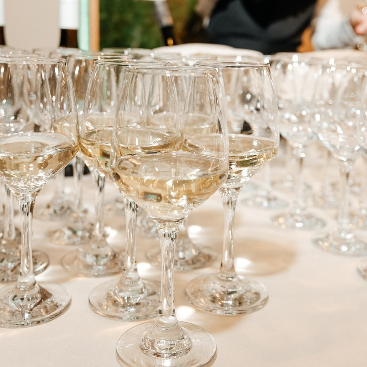 Отзывы. Фотограф Елена Пожарова. Мурманская область, Апатиты, Кировск, Хибины