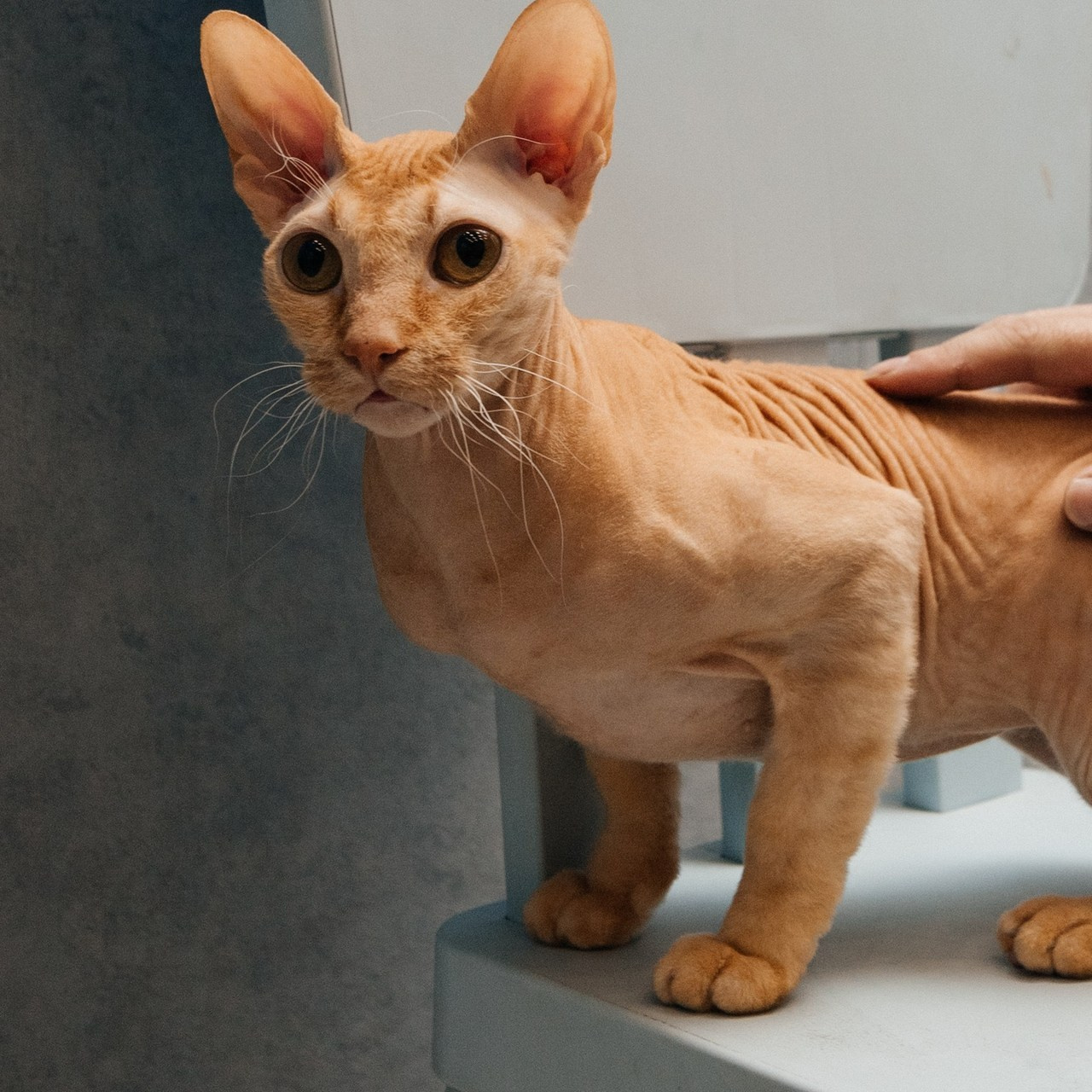 Отзывы. Фотограф Елена Пожарова. Мурманская область, Апатиты, Кировск, Хибины